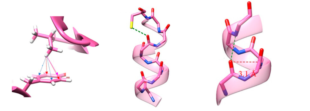 Noncovalent Interactions in Proteins: C-H...π, sulfur mediated hydrogen bond, and n → π* interactions