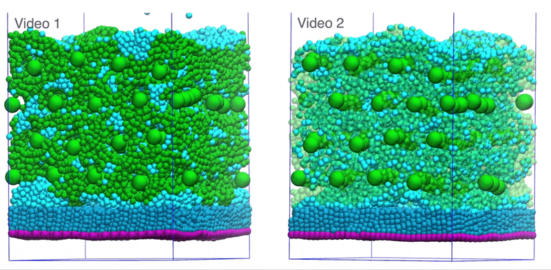 How Can Coarse-Grained Simulations Reveal Geckos' Wall-Clinging Skills? | From Atoms To Words | Arturo Robertazzi