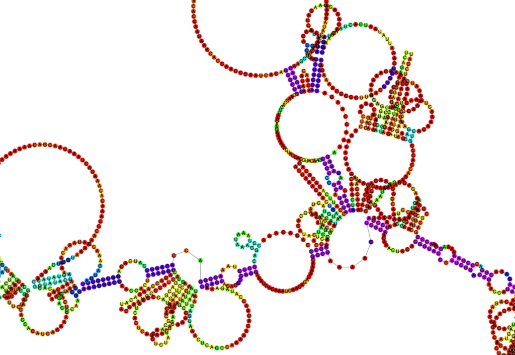 When Will RNA Structure Prediction Have Its AlphaFold Breakthrough? | From Atoms To Words | Arturo Robertazzi