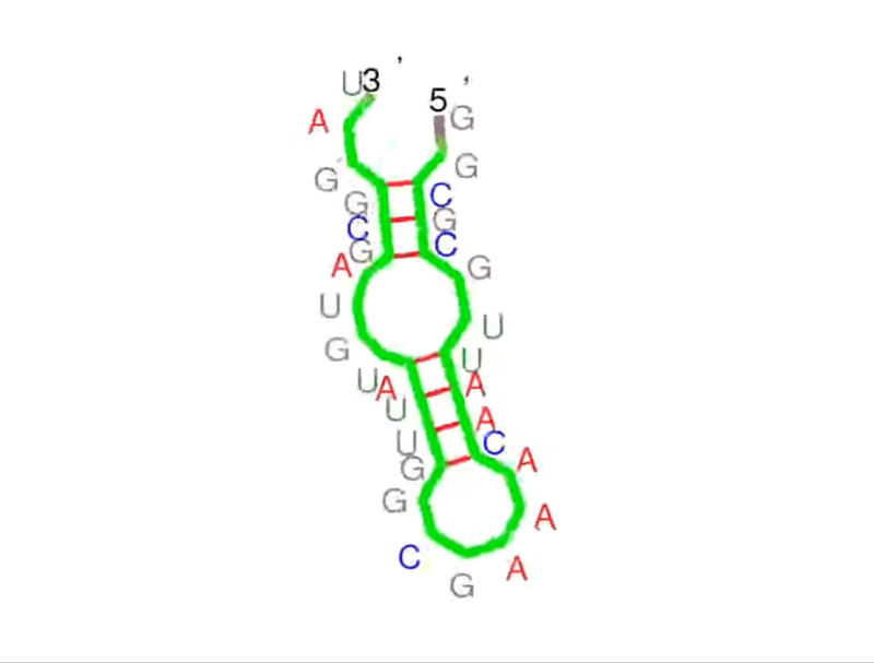 When Will RNA Structure Prediction Have Its AlphaFold Breakthrough? | From Atoms To Words | Arturo Robertazzi