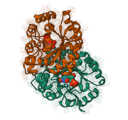 Enzymatic Reactions: Quantum Chemistry Modeling of Life's Catalysts | From Atoms To Words | Arturo Robertazzi
