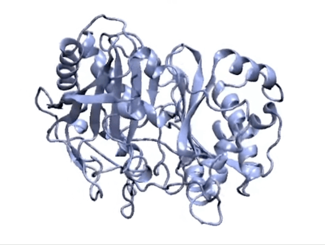 Enzymatic Reactions: Quantum Chemistry Modeling of Life's Catalysts | From Atoms To Words | Arturo Robertazzi