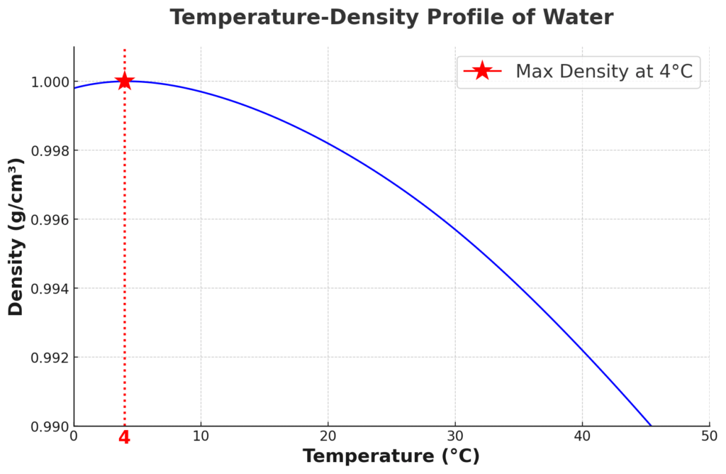 Water's Hydrogen Bonds: What Makes Them Vital for Life As We Know It? | From Atoms To Words | Arturo Robertazzi
